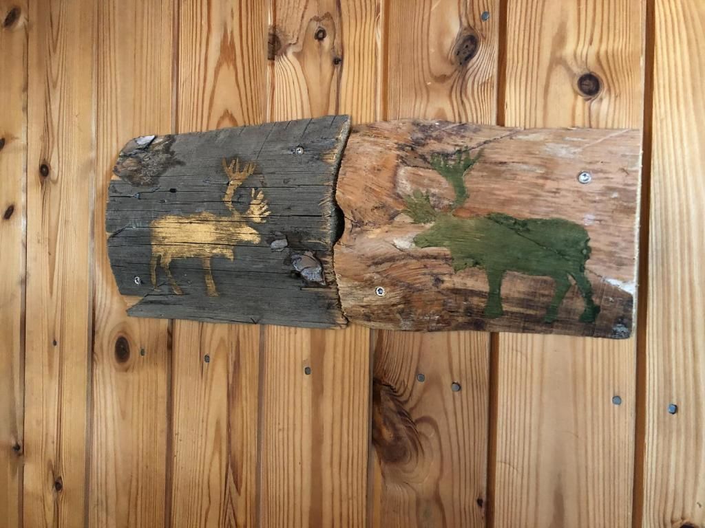 Дома для отпуска SUMMER - The White Blue Wilderness Lodge Инари-67